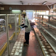 短時間軽作業！　不動産物件／空き家物件／解体前物件の片付け、荷物...