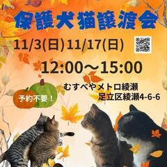 🐱けだ・まも 保護猫譲渡会🐱 - 足立区