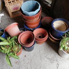 植木鉢の画像