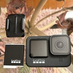 GoPro9 写真の物全ての画像