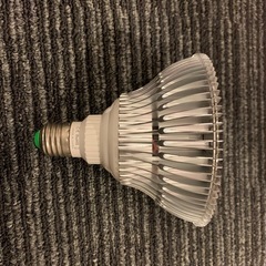 植物育成ライトの画像