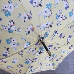傘　100円の画像