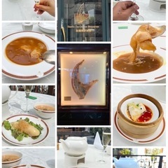 59：いつでも企画👌中国🇨🇳 - 渋谷区