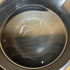めだか今年産まれの画像