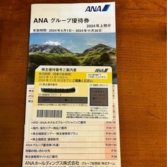 ANA株主優待券／急な帰省、出張に