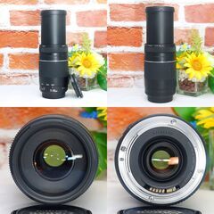 【全国送料無料】⭐️美品⭐️ Canon EF 75-300㎜ F4-5.6 Ⅲ USM✨超望遠レンズ ✨ キャノン キヤノン イベント 旅行 野鳥の画像