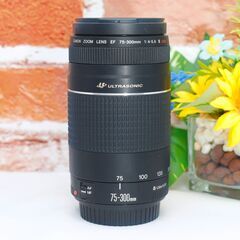 【全国送料無料】⭐️美品⭐️ Canon EF 75-300㎜ F4-5.6 Ⅲ USM✨超望遠レンズ ✨ キャノン キヤノン イベント 旅行 野鳥の画像