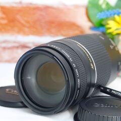 【全国送料無料】⭐️美品⭐️ Canon EF 75-300㎜ F4-5.6 Ⅲ USM✨超望遠レンズ ✨ キャノン キヤノン イベント 旅行 野鳥の画像