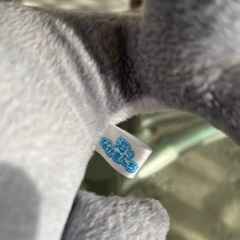 サメ　ぬいぐるみの画像