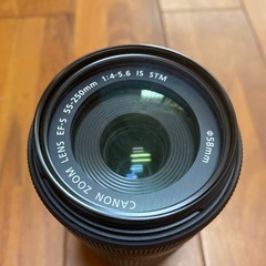 【Canon望遠レンズ】EF-S55-250mm F4-5.6 ...