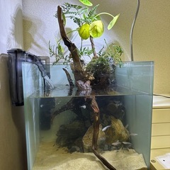 水槽セット
