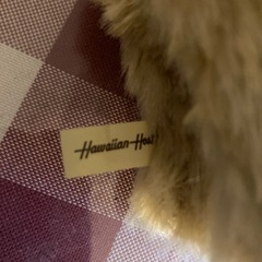 Hawaiian host、テディベア ぬいぐるみの画像