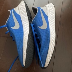 24cm NIKE靴の画像
