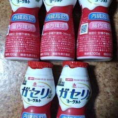 ガセリ菌　ヨーグルト　5本