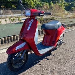 クレタク　スパタクの画像