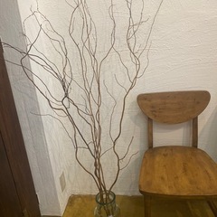 花瓶枝付きの画像