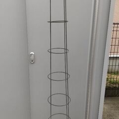 ラティス