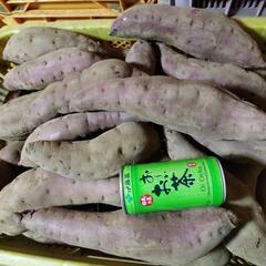 熟成紅はるか、平干し、焼き芋用（200g以上）1ｋｇ150円.2...
