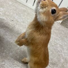 子無し主婦友達募集