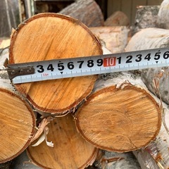 白樺 丸太 玉切り 薪の画像