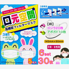 【送料無料】 素敵な柄入り 高機能 フィルター マスク  5枚入...