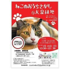 11/24(日)ねこのおうちさがし＠大泉緑地