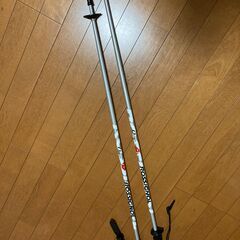 スキー板＆ストック　SALMON verse 5w L150