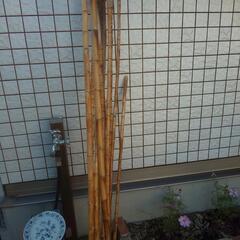 棕梠竹 木刀 棒術 物干し竿 釣竿 武術 