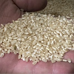  ひとめぼれ30kg 精米可能 手渡のみ コンビニ セブンイレブン 