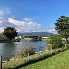 畳