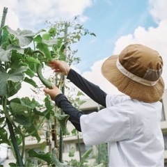 有機（オーガニック）栽培を一緒にできる方募集中⭐️ − 東京都