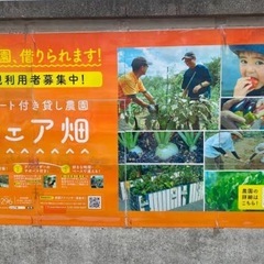 有機（オーガニック）栽培を一緒にできる方募集中⭐️