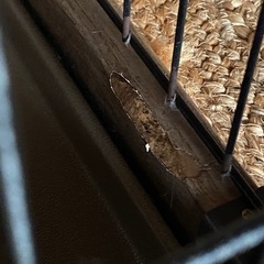 ペットゲージ・トイレの2点セットの画像
