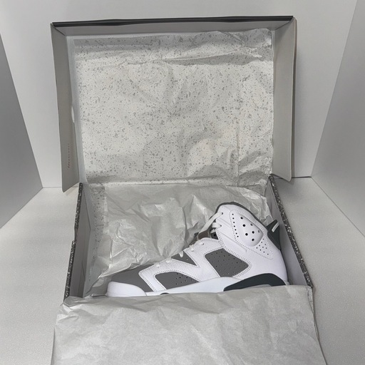 NIKE  新品　箱付き ジョーダン6 クールグレイ　27㎝
