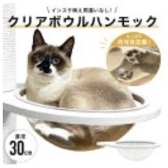 調整中:天井突っ張り・綿紐　キャットタワーの画像