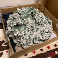 クリスマスツリーの画像