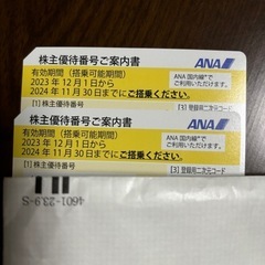 ANA 株主優待券　2024年11月30日