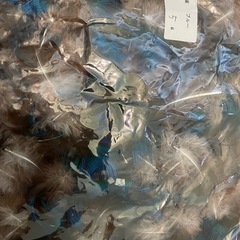 手芸園芸用の羽の画像