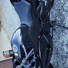 カワサキ ニンジャ250Rの画像