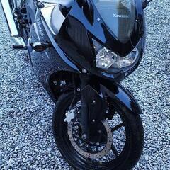 カワサキ ニンジャ250Rの画像