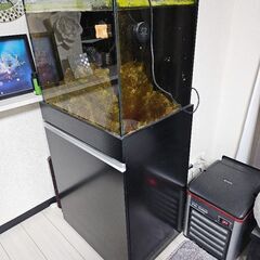 オーバーフロー水槽一式セット