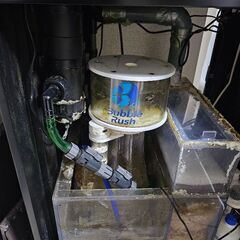 オーバーフロー水槽一式セットの画像