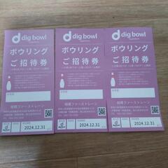 ボウリング　ご招待券　3枚　dig bowl sagamihar...