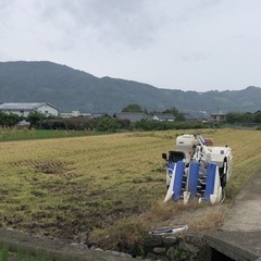 紀の川市産ヒノヒカリ30キロ新米