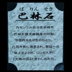 龍の印石の画像