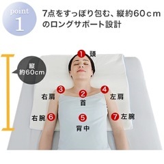 トゥルースリーパーセブンスピローライト　シングルの画像