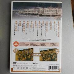 どれでも48円DVDの画像