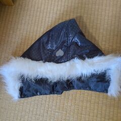 クリーニングして保管していました。の画像