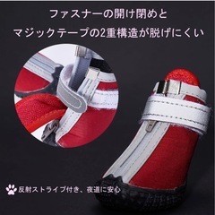 犬用レインシューズの画像