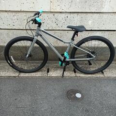 CANNONDALE   Treadwell2    